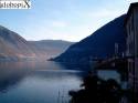 lagocomo