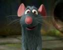 topo,ratatouille